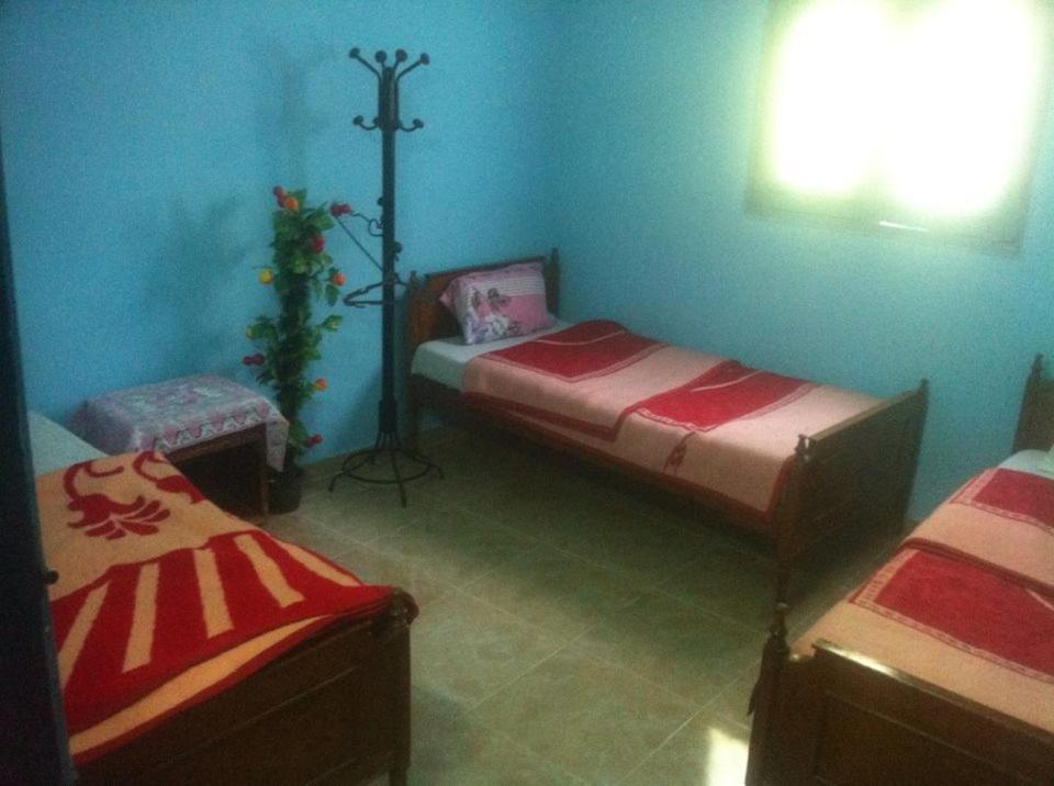 Bob Marley House Sherief Hotel Luxor Buitenkant foto